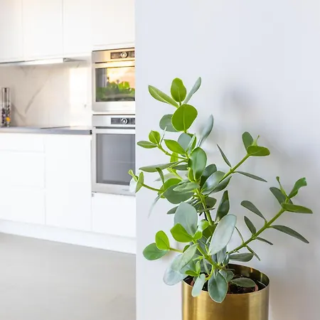 Prachtig Aan Zee Met 2 Terrassen - 4p Appartamento *